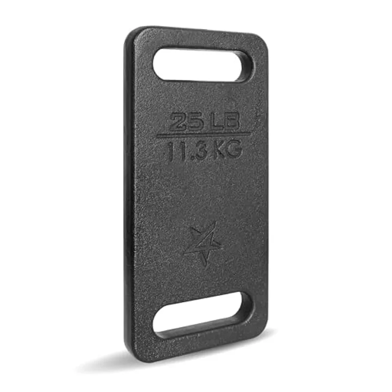 Yes4All Cast Iron Rucking Weight for Backpack, Training Weight Plate with Ergonomic Rounded Handle, Protective Glossy Finish for Weighted Walking, Hiking, Rucking, Resistance Workout, 10 LB